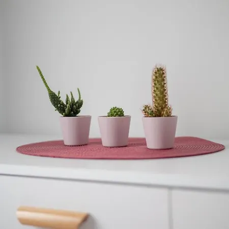 Mokotowska Comfortable By Bookinghost Appartamento